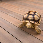 Megawood® Terrassendiele SIGNUM GCC Holzart